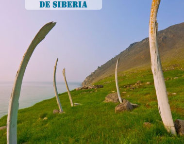 El Paseo de las Ballenas de la Isla de Yttygran