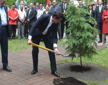 Peña Nieto vuelve a hacer el ridículo y no supo sembrar un árbol