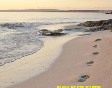 Playa de Ses Illetes, una de las mejores playas del mundo