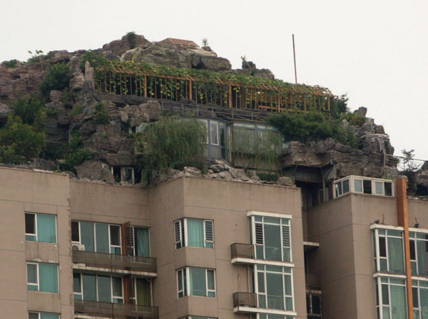 zhang biqing montaña encima de su casa