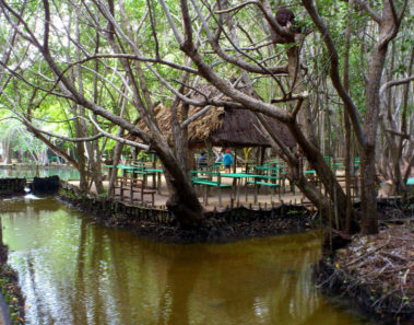 balneario el corchito en yucatan
