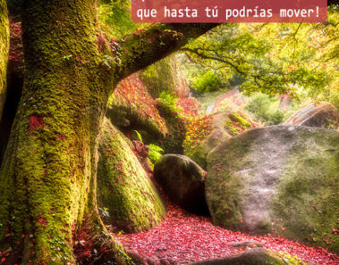 bosque de broceliande bretaña