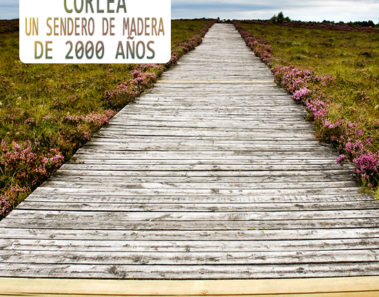 corlea sendero de madera 2000 años