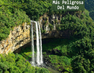Esta es la famosa isla prohibida de Brasil, Ilha de Queimada Grande