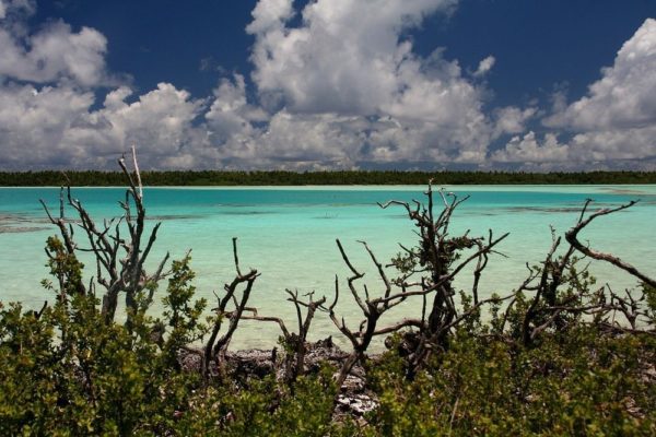 La Laguna reticulada del atolón de Mataiva