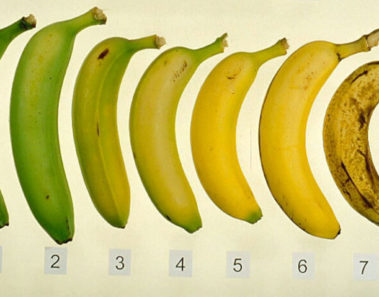 ¿Sabes cuál de estas 7 bananas es más saludable?