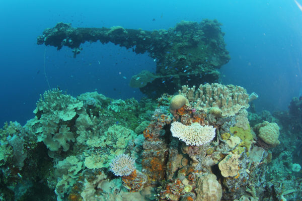 El cementerio marino del lago Truk en Micronesia
