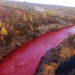 río Daldykan, el enigma del río ruso teñido de rojo sangre