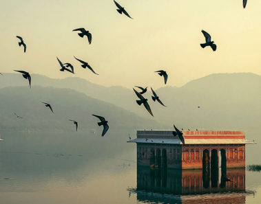 Este es el Jal Mahal, el palacio flotante de Jaipur
