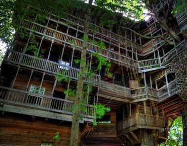 La increíble historia de la casa del árbol más grande del mundo
