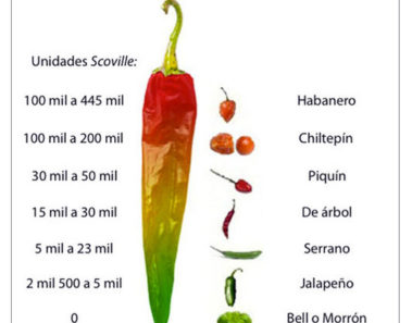 Los 10 chiles más picantes de México