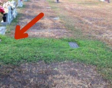 Padres visitaron la tumba de su hijo y quedaron sorprendidos al ver que de repente tenia pasto verde