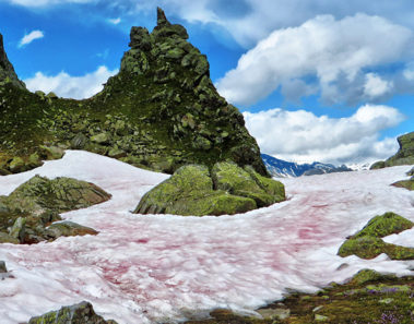 La nieve rosa de Sierra Nevada, California
