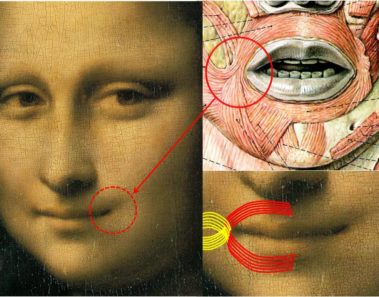 ¿Alguna vez te has preguntado de qué se ríe la Mona Lisa?