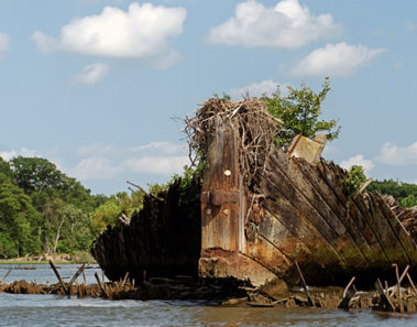 La misteriosa flota fantasma de Mallows Bay