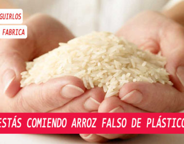 Tenga mucho cuidado al comprar arroz podría ser arroz plástico