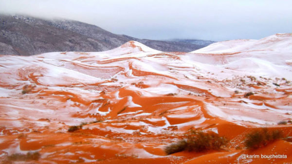 espectaculares fotos de nieve en el Sahara