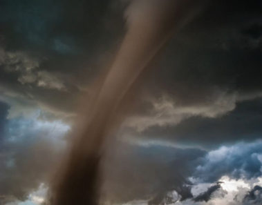 Estos fueron los ganadores del concurso de National Geographic a Fotógrafo de la naturaleza 2016