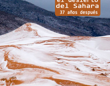 Las espectaculares fotos de nieve en el Sahara que te quitarán el aliento