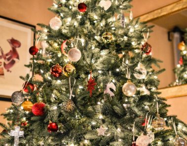 Los mejores sitios para comprar un árbol navideño natural en la CDMX