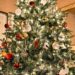 Los mejores sitios para comprar un árbol navideño natural en la CDMX