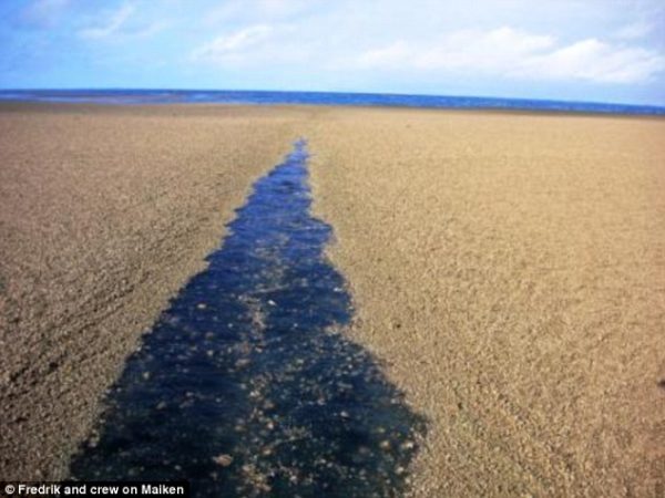 Encontraron un misterioso banco de arena en medio del océano Pacífico