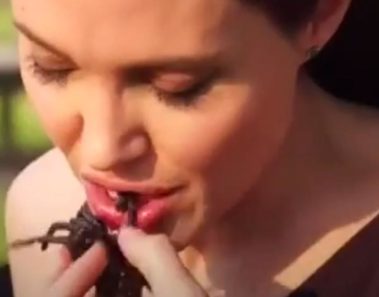 Angelina Jolie come escorpiones y tarántulas fritas con sus hijos en Camboya