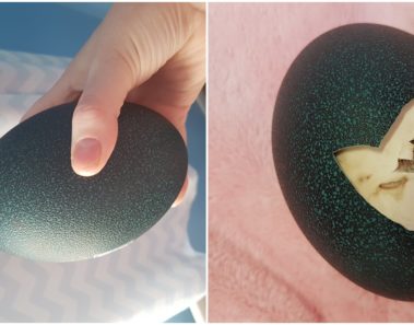 Ella nunca imaginó la sorpresa que se llevaría al comprar este huevo decorativo en Ebay