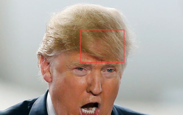 Este es el misterioso secreto que oculta el cabello de Donald Trump