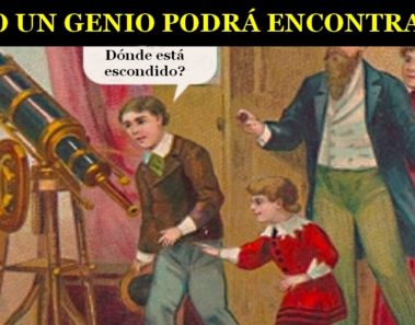La ilusión óptica del año 1800 que está volviendo loco a Internet