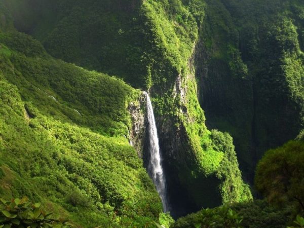 Trou de Fer, el hermoso cañón lleno de cascadas de la Isla Reunión