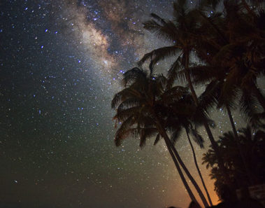 Punalu’u, una de las playas más singulares del planeta