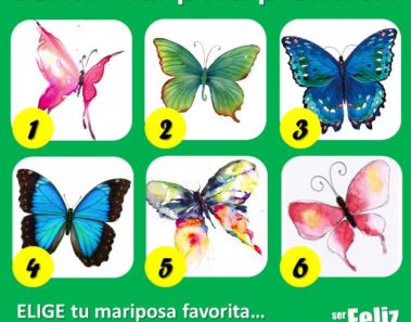 Dime que mariposa te gusta más y te diré cómo eres
