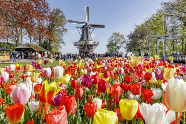 keukenhof jardines de tulipanes amsterdam