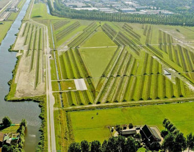 Este aeropuerto ha pensado en una solución artística para reducir su contaminación auditiva