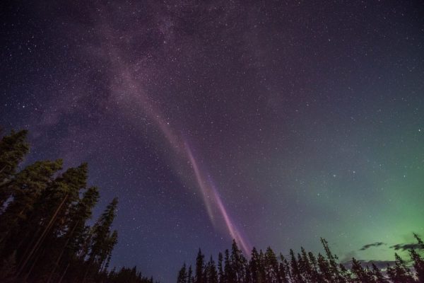 No es una aurora boreal, es “Steve” un fascinante nuevo fenómeno natural
