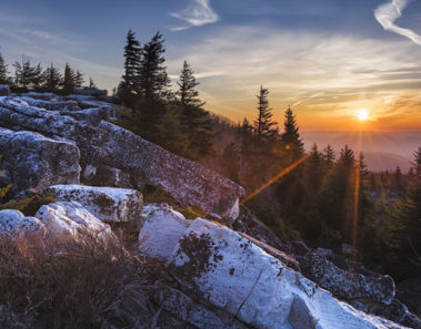 No imaginarás lo que este cantero descubrió en una cámara secreta