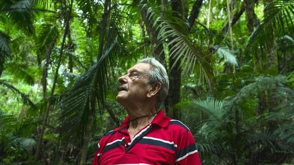 La fabulosa historia del hombre que plantó una selva de 30 hectáreas con sus propias manos