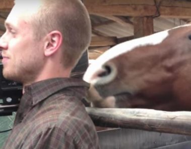 Se suponía que grabaría una entrevista pero este caballo no le dejaba en paz