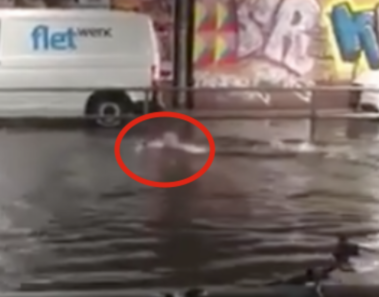 Llovió tanto que la calle se inundó por completo. 2 minutos después, emerge algo del agua que deja a todos atónitos