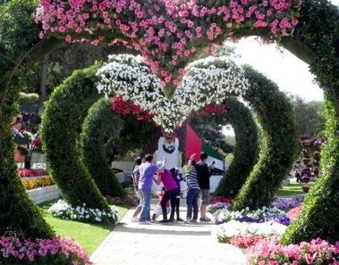 El maravilloso arte de los jardines topiarios