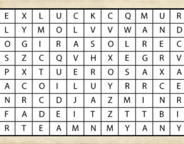 En esta sopa de letras hay 6 flores: La primera que encuentres revelará detalles de tu personalidad.