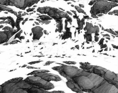 Reto Visual: Encuentra Las Cinco Vacas