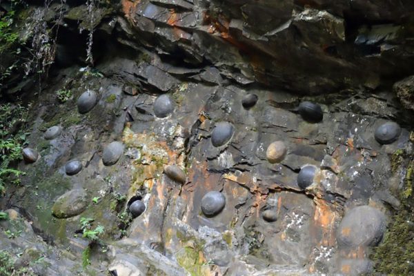 El misterioso acantilado del que salen ‘huevos’ cada 30 años