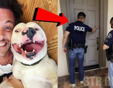Subió a Facebook una foto con su nueva mascota y entonces la policía tocó a su puerta