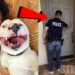 Subió a Facebook una foto con su nueva mascota y entonces la policía tocó a su puerta