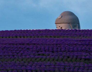 El buda gigante de Sapporo escondido en una colina entre los campos de lavanda