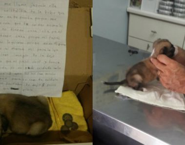 La conmovedora carta de una niña que fue obligada a abandonar a su mascota