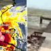 Impactante vídeo una playa de las Bahamas sin agua por el paso del huracán Irma