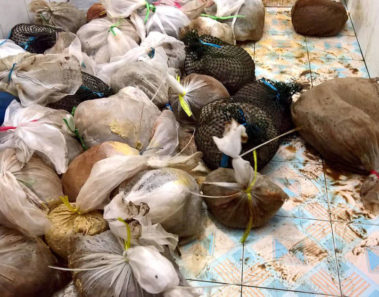 La aduana oye gritos de ayuda de las bolsas de plástico, luego descubren lo terrible en el sótano del hombre